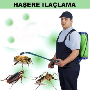 Tarsus Böcek İlaçlama